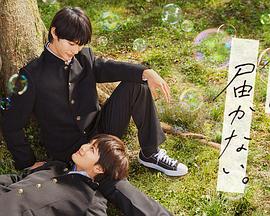 seo关键词推广怎样